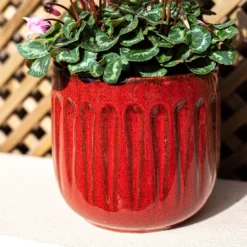 Chiswick Running Pot Red - 18cm -Plantery Shop 13973651 1995011238682963