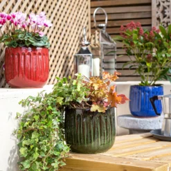 Chiswick Running Pot Red - 18cm -Plantery Shop 13973651 2145011238729160