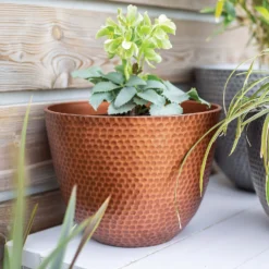 Suva Hammered Pot Copper - 31cm -Plantery Shop 13973652 1715011805989134