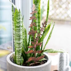 Floral Bronze Ground Stakes - 45cm (Assorted Designs) -Plantery Shop 13981009 1695005324721013