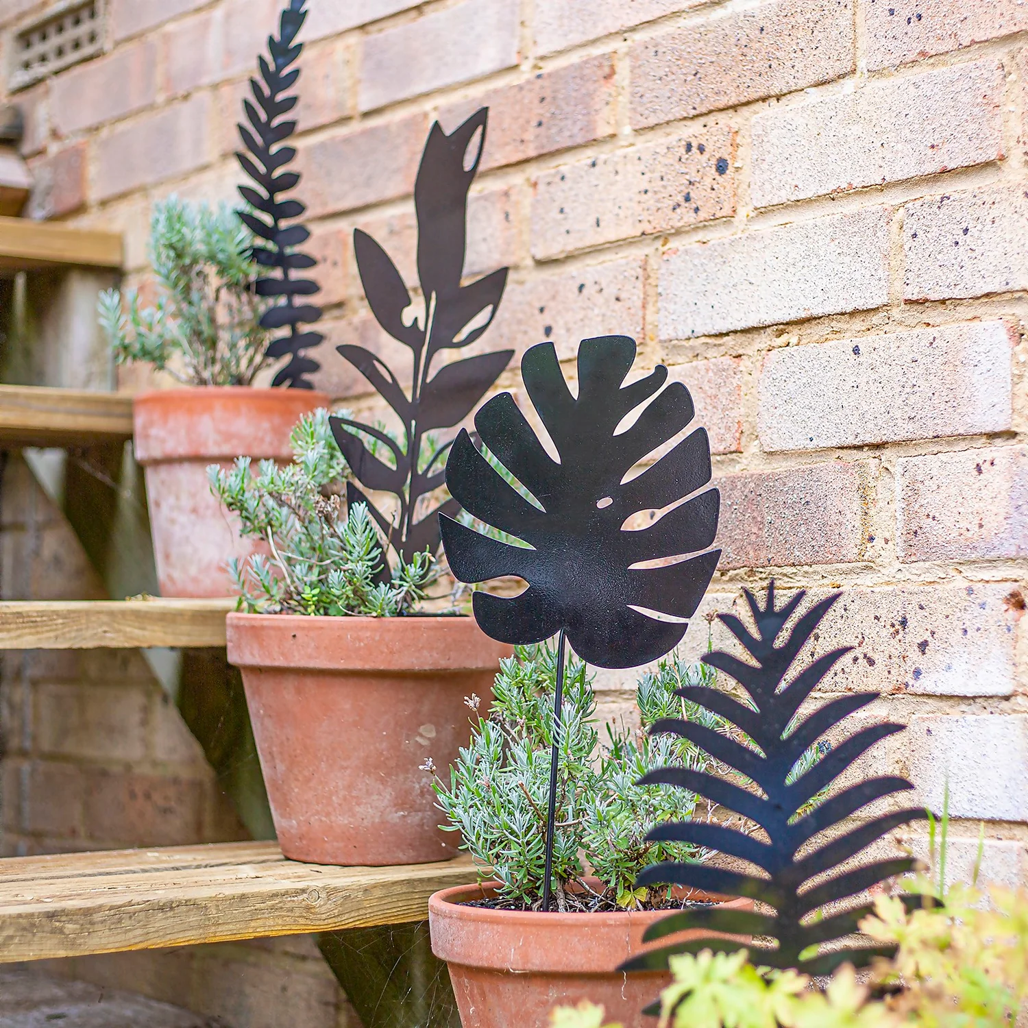 Jungle Black Ground Stakes - 45cm (Assorted Designs) 4 Jungle Black Ground Stakes - 45cm (Assorted Designs) - Image 2