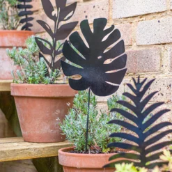 Jungle Black Ground Stakes - 45cm (Assorted Designs) 19 Jungle Black Ground Stakes - 45cm (Assorted Designs) -Plantery Shop 13981010 1925005324441329
