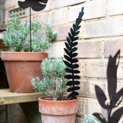 Jungle Black Ground Stakes - 45cm (Assorted Designs) 18 Jungle Black Ground Stakes - 45cm (Assorted Designs) -Plantery Shop 13981010 1975005324413036