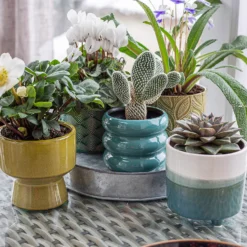 Two Tone Ombre Indoor Plant Pot - 12cm -Plantery Shop 14197407 1295024191549506