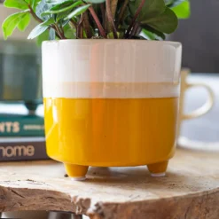 Two Tone Ombre Indoor Plant Pot - 12cm -Plantery Shop 14197407 3655024191436277