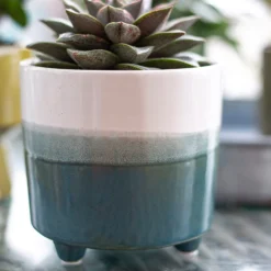 Two Tone Ombre Indoor Plant Pot - 12cm -Plantery Shop 14197407 8595024191498422