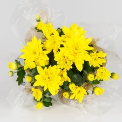 Gift Wrapped Chrysanthemum - 12cm -Plantery Shop 14567809 1145056339573587
