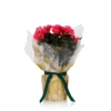 Gift Wrapped Begonia - 12cm -Plantery Shop 14703956 1525056339382316