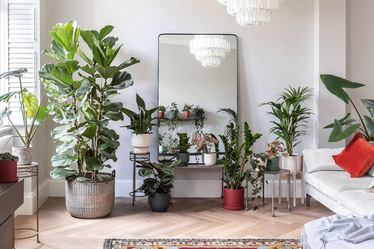 Plantery Shop -Plantery Shop 5 reasons why you should style your home with plants